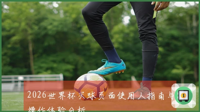 2026世界杯买球页面使用人指南与操作体验分析