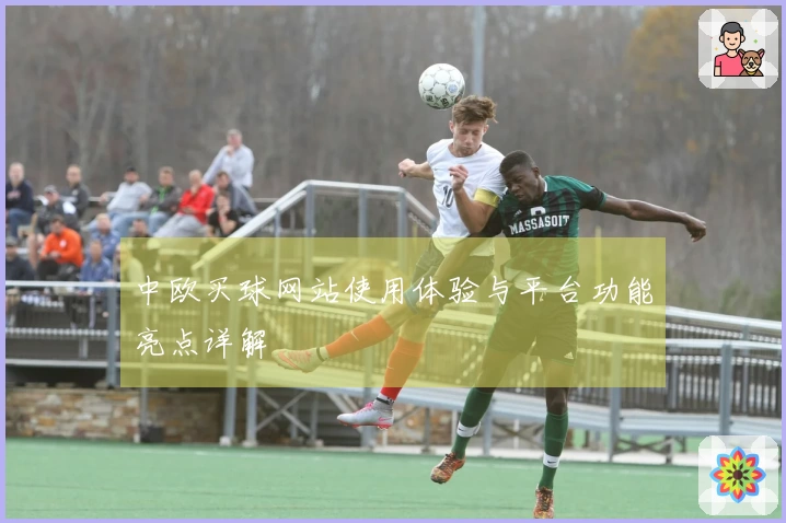 中欧买球网站使用体验与平台功能亮点详解