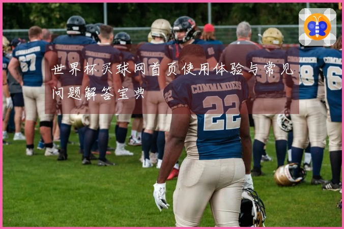 世界杯买球网首页使用体验与常见问题解答宝典