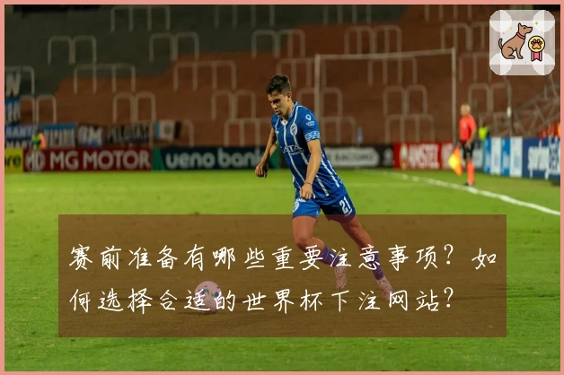 赛前准备有哪些重要注意事项？如何选择合适的世界杯下注网站？