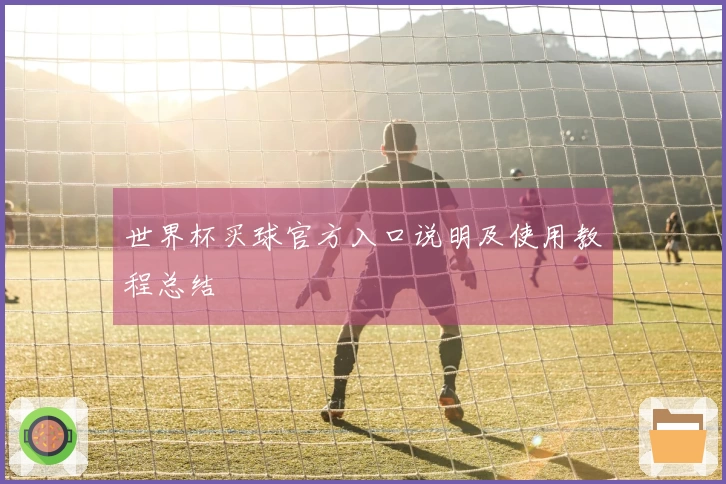 世界杯买球官方入口说明及使用教程总结