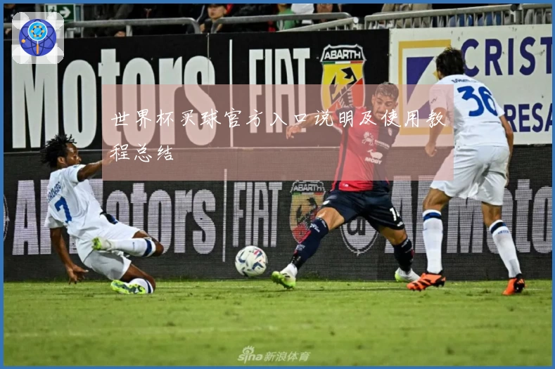 世界杯买球官方入口说明及使用教程总结