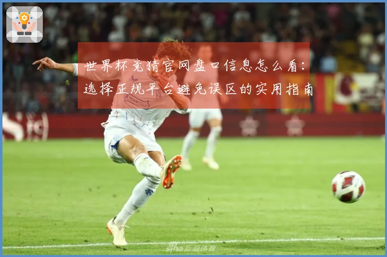 世界杯竞猜官网盘口信息怎么看：选择正规平台避免误区的实用指南