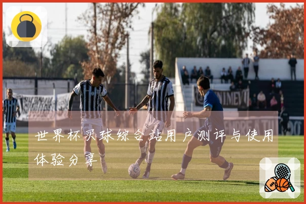 世界杯买球综合站用户测评与使用体验分享
