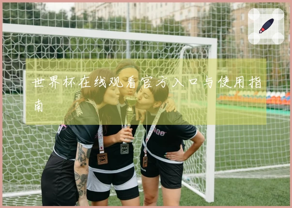 世界杯在线观看官方入口与使用指南