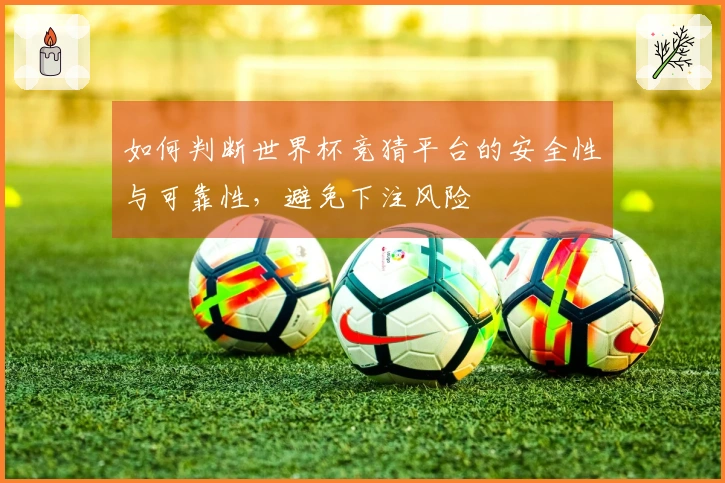 如何判断世界杯竞猜平台的安全性与可靠性，避免下注风险