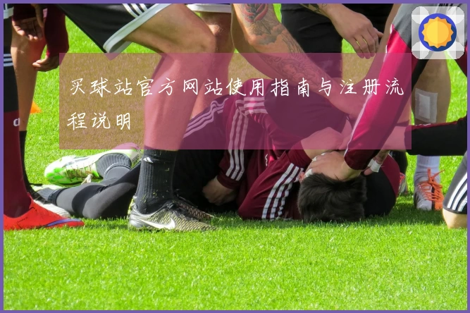 买球站官方网站使用指南与注册流程说明