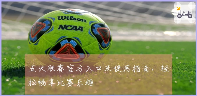 五大联赛官方入口及使用指南，轻松畅享比赛乐趣