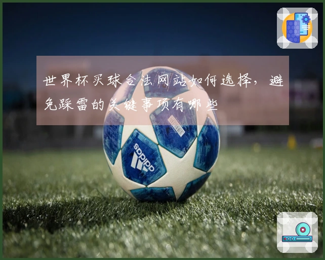 世界杯买球合法网站如何选择，避免踩雷的关键事项有哪些