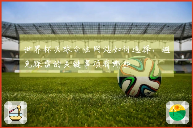 世界杯买球合法网站如何选择，避免踩雷的关键事项有哪些