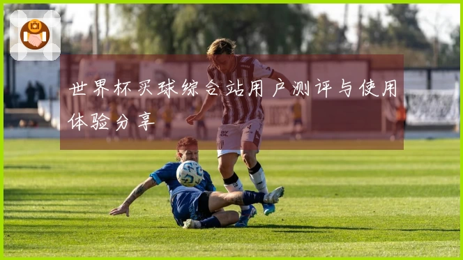 世界杯买球综合站用户测评与使用体验分享