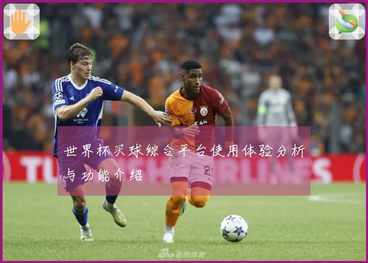 世界杯买球综合平台使用体验分析与功能介绍